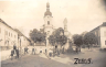 Zebus_belebt